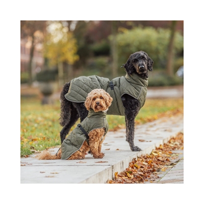 Trixie Minot Vinterjakke Til Hunden Olivengrøn